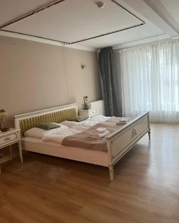 Palac Biedrusko